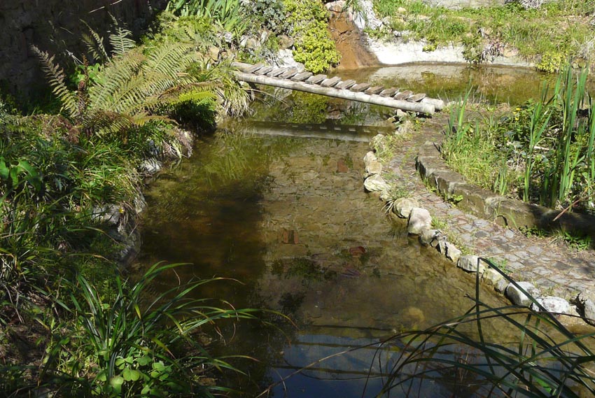 Il Laghetto del Centro di Entomologia - Piombino (LI)